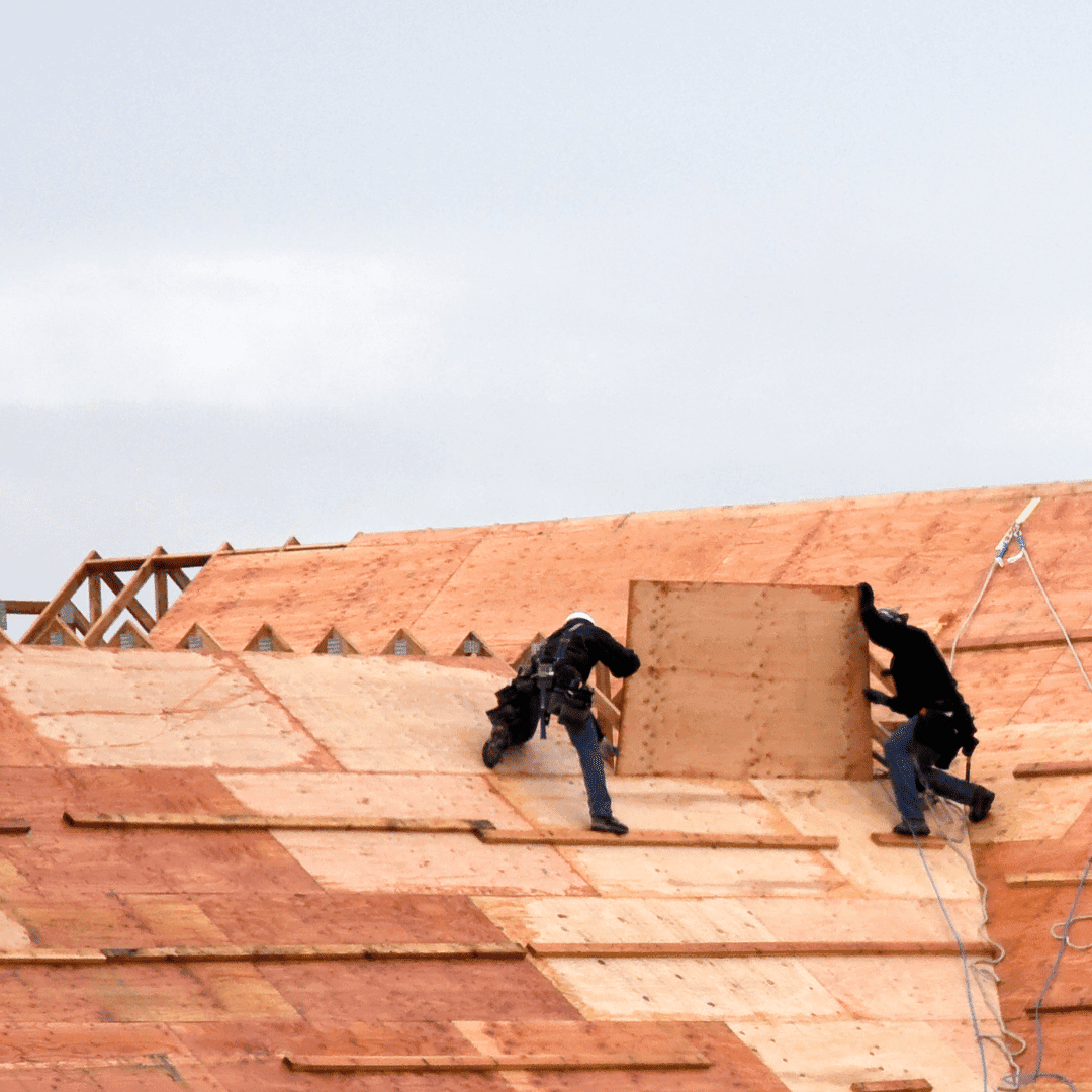 Roof Inspections