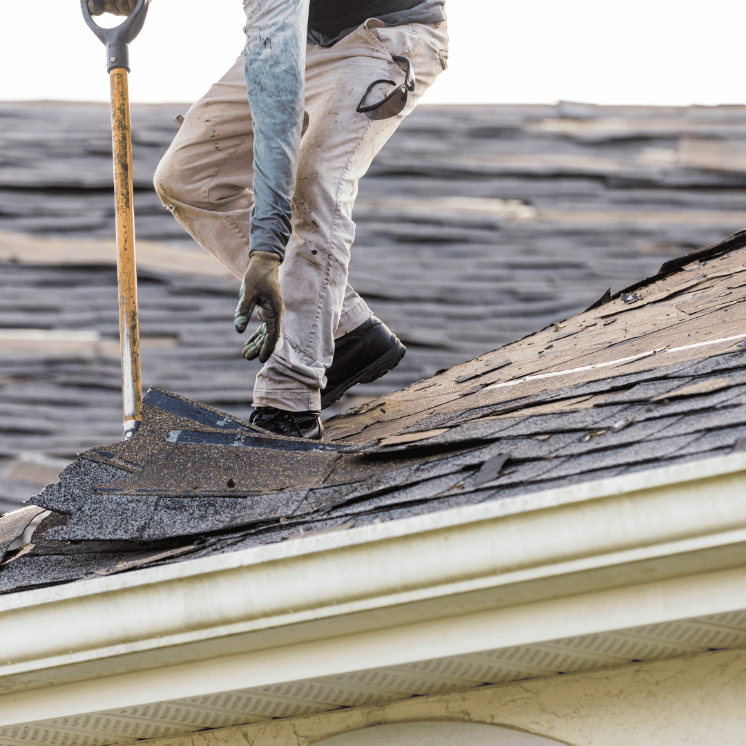 Roof Maintenance