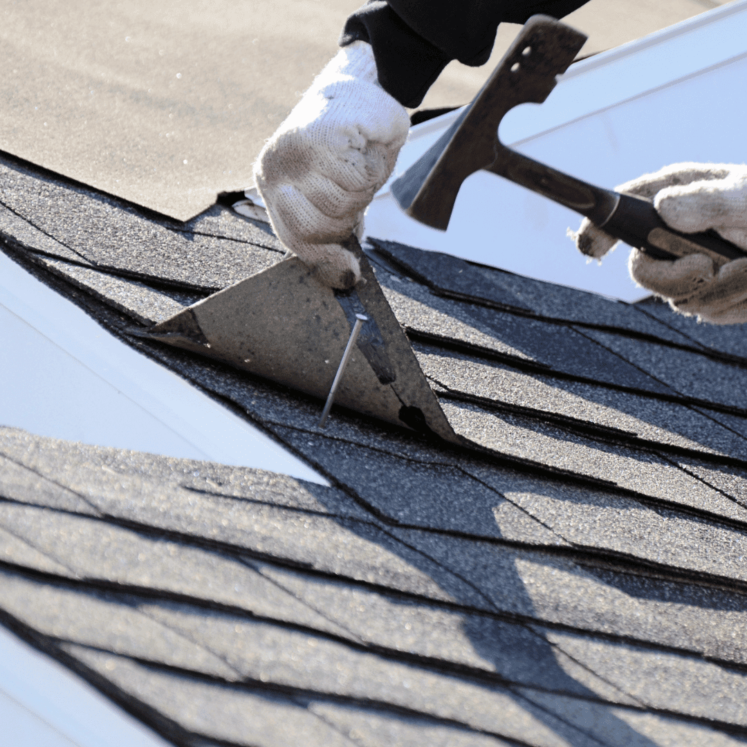 Professional Roofing Team